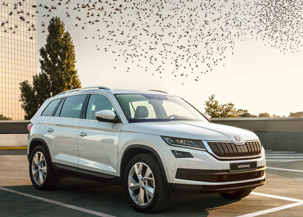 Kodiaq в аренду